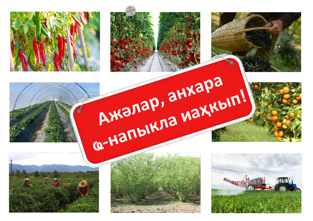 НАМ НУЖНО ВЕРНУТЬСЯ В СЕЛО